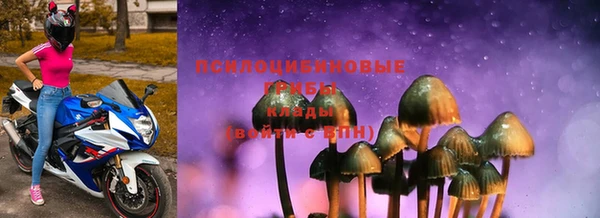 spice Балахна