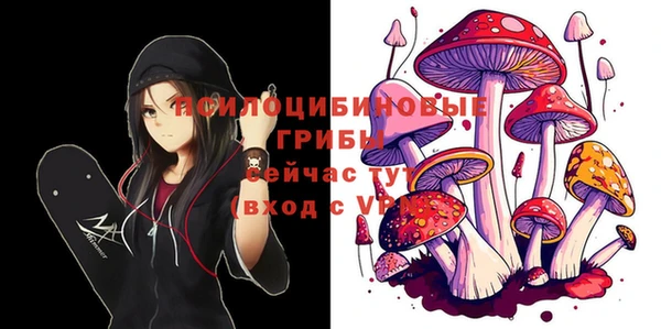 spice Балахна
