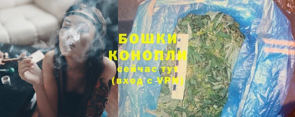 стаф Дмитровск