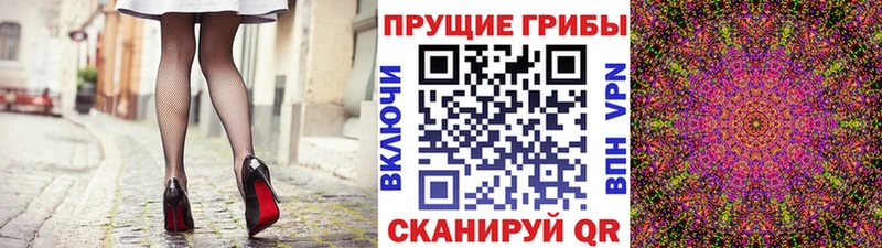 Галлюциногенные грибы мицелий  blacksprut tor  Новый Оскол 